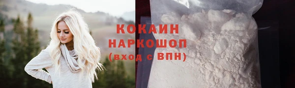 гидра Армянск