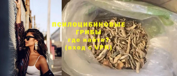 гидра Армянск