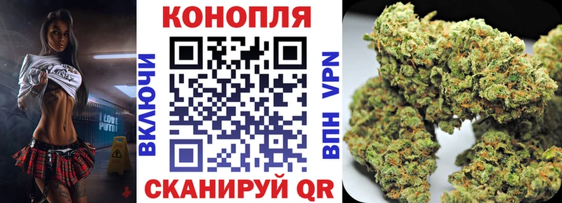 Бошки марихуана Amnesia  Порхов 